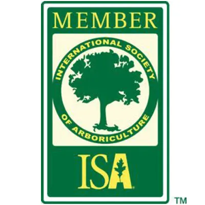 ISA Member